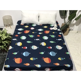 [SALE SẬP SÀN] Ga/ drap bọc đệm chống thấm nước in hình chất liệu cotton 100% thoáng mát không tạo tiếng kêu sột soạt