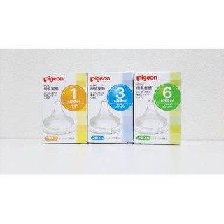 Núm ti pigeon nội địa size m