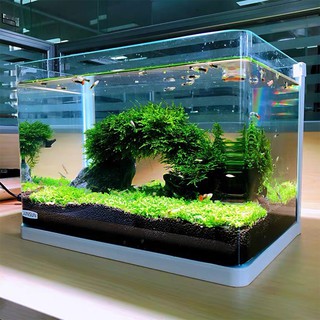 Đất nền thủy sinh phân nền dùng cho bể cá hồ cá