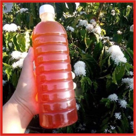 Mật ong nguyên chất tự nhiên cam kết 100% hoa cà phê tự nhiên 1 lít