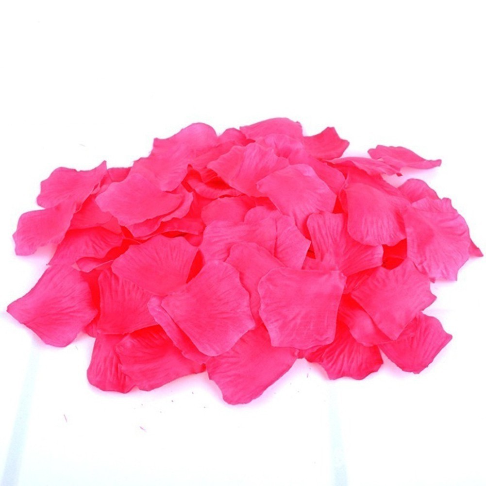 Bộ 500 cánh hoa hồng cho trang trí đám cưới