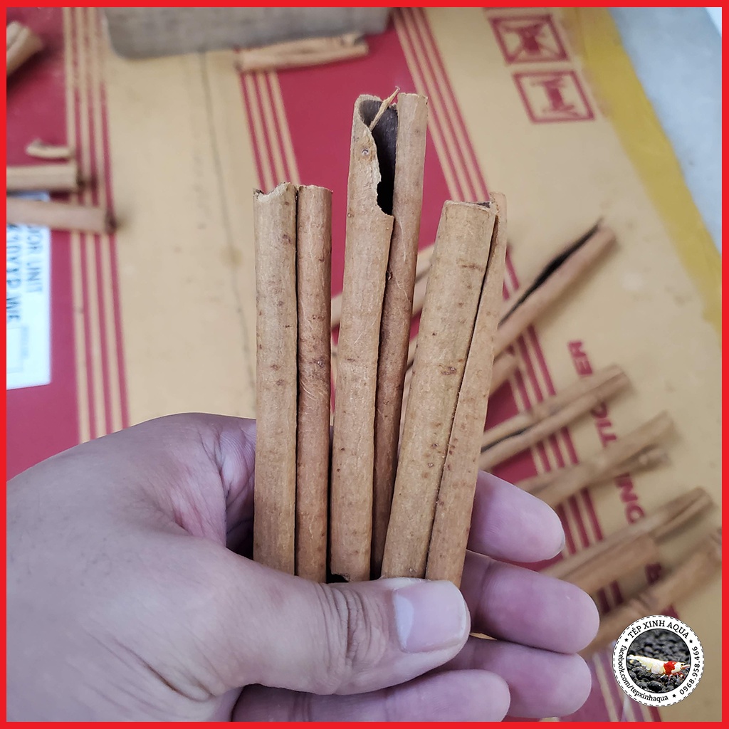 Quế Thanh Sấy Khô Sạch Bóc Trực Tiếp Tại Vườn - Cải thiện, hỗ trợ khử khuẩn bể thủy xinh