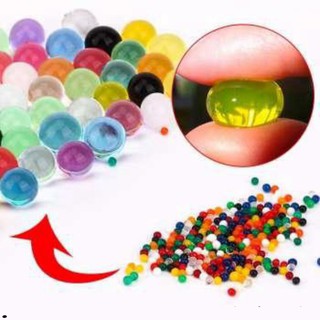 Hạt nở Nhật Bản Làm Slime Hoặc Trồng Cây - Nguyên liệu làm slime