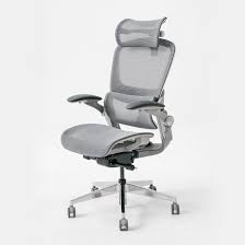 Ghế công thái học EPIONE EASY CHAIR SE V2  Hàng chính hãng
