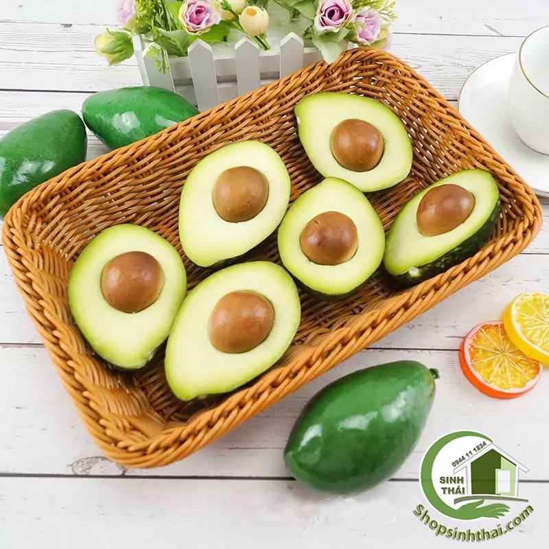 Trái bơ nguyên quả và nửa trái bơ có hột - Trái cây giả cao cấp - Chọn loại