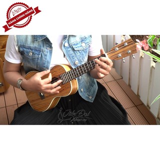 Đàn Ukulele Chard U-24C