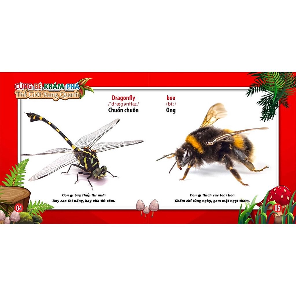 Sách - Cùng Bé Khám Phá Thế Giới Xung Quanh - Côn Trùng - Sách Song Ngữ