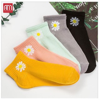 Combo 10 đôi tất Hoa cúc rất xinh