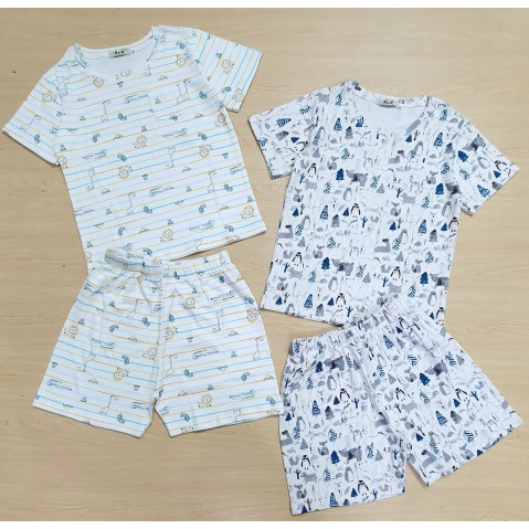 Bộ quần áo cộc tay cho bé trai size Đại 20kg đến 40kg chất thun cotton, in họa tiết cho bé trai - STMD