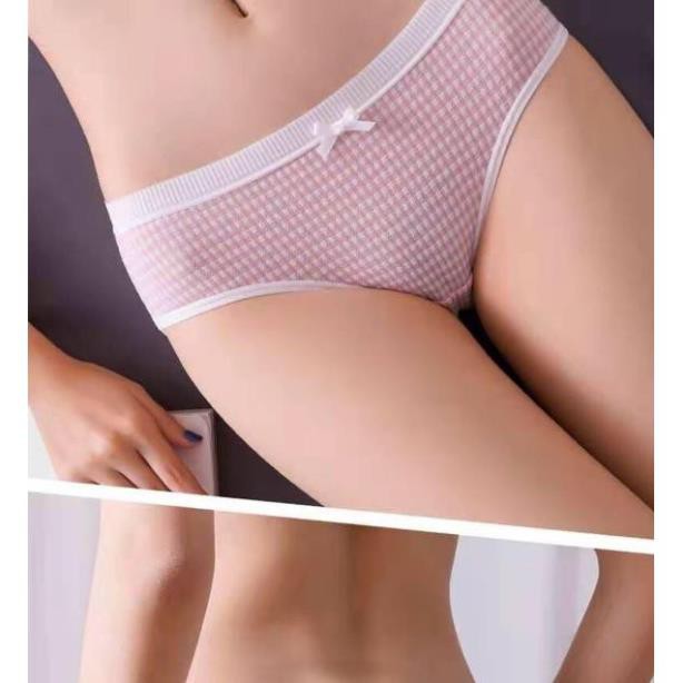 Quần Lót Cotton Sợi Bông Co Giãn Kháng Khuẩn 1980.