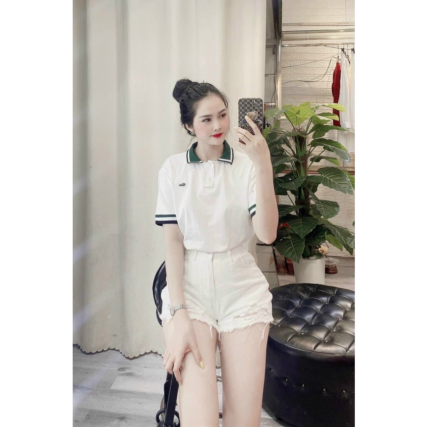 Áo phông cổ bẻ thêu logo, Áo thun pha viền ngắn tay vải cotton co giãn AS7235 - NhiNhi Shop