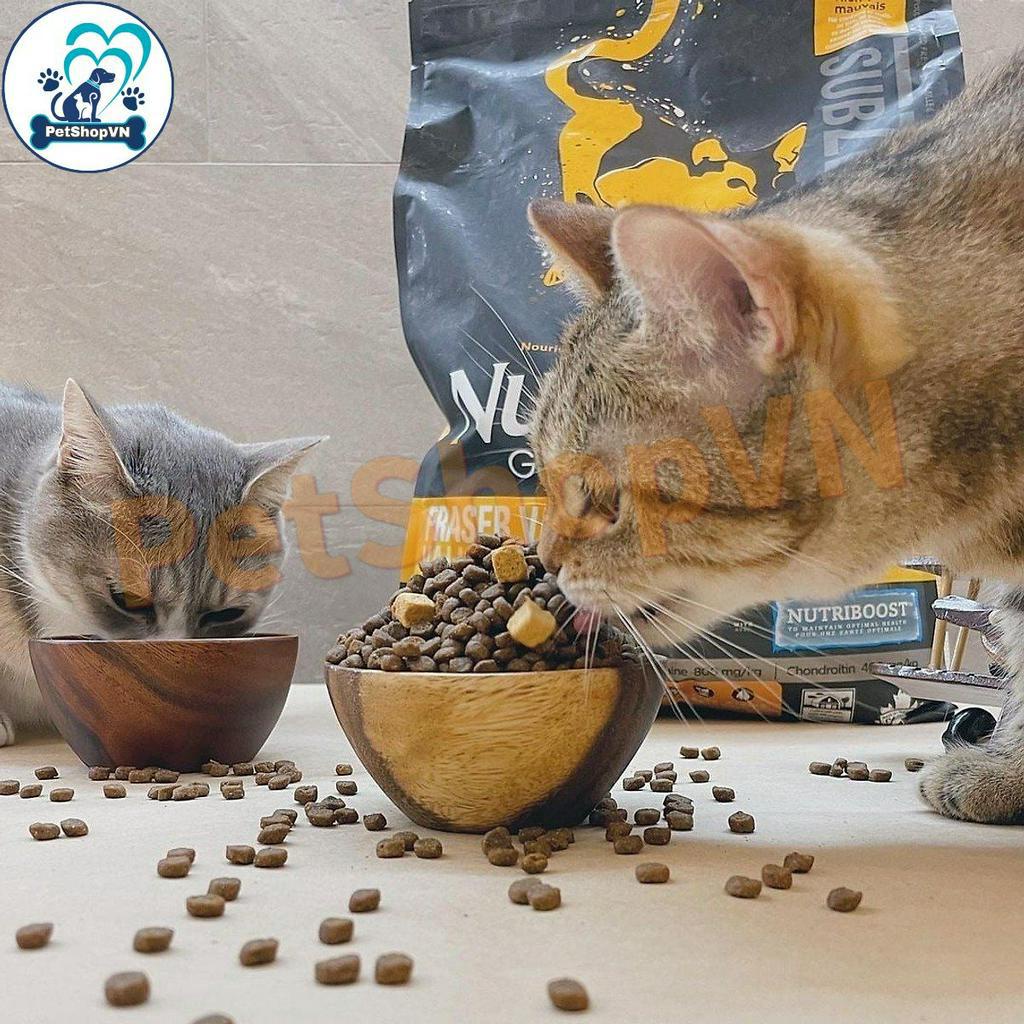 Thức Ăn Cho Mèo Hạt NUTRIENCE SUBZERO Bao 5Kg Vị Gà Tây & Cá Hồi