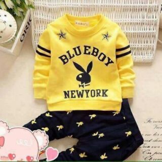 Compo 250k