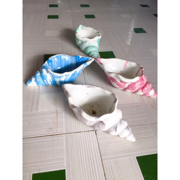 chậu hình ốc