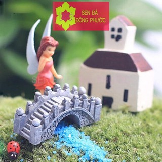 Cầu tràng tiền - Phụ kiện tiểu cảnh trồng sen đá, xương rồng, cây phong thuỷ - Sen đá Đông Phước