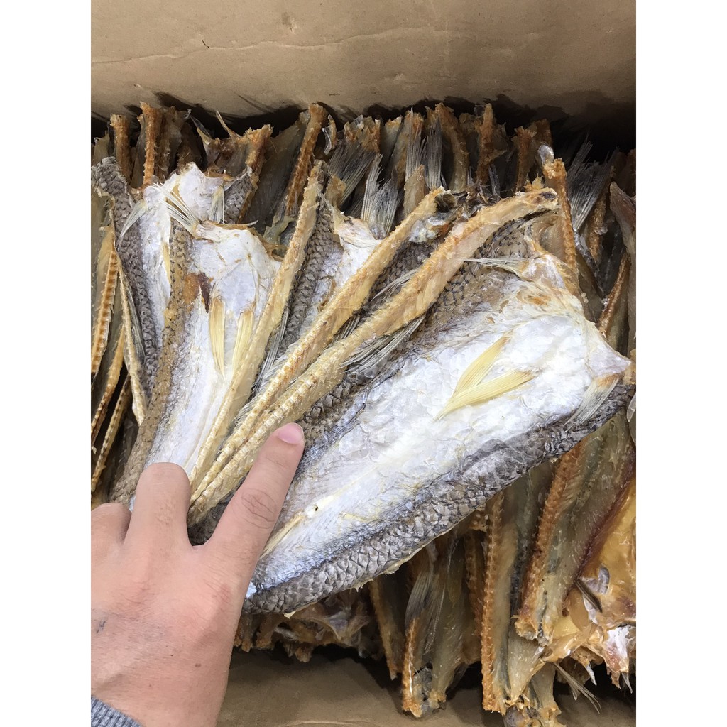 Khô cá mối loại đặc biệt đặc sản Cà Mau.Thịt dày dẻo ngon dùng chiên hoặc nướng rất ngon