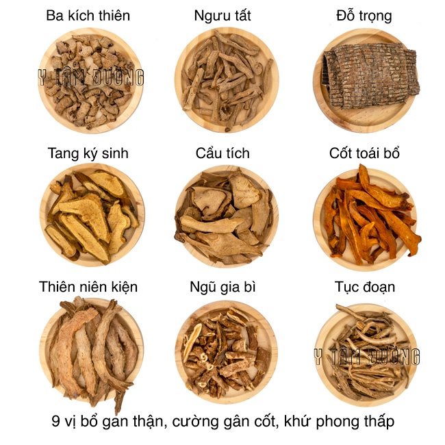 Thang ngâm rượu - Phục Cốt Thang - hỗ trợ đau thần kinh tọa, thoái hóa đốt sống cổ và lưng