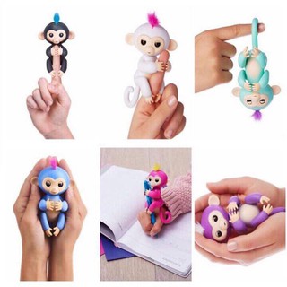 Khỉ Finger monkey