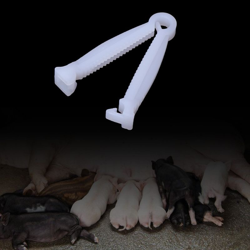 [seve *] Gói 10 Kẹp Rốn / Heo / Cừu / Heo / Chó Con Dùng Một Lần