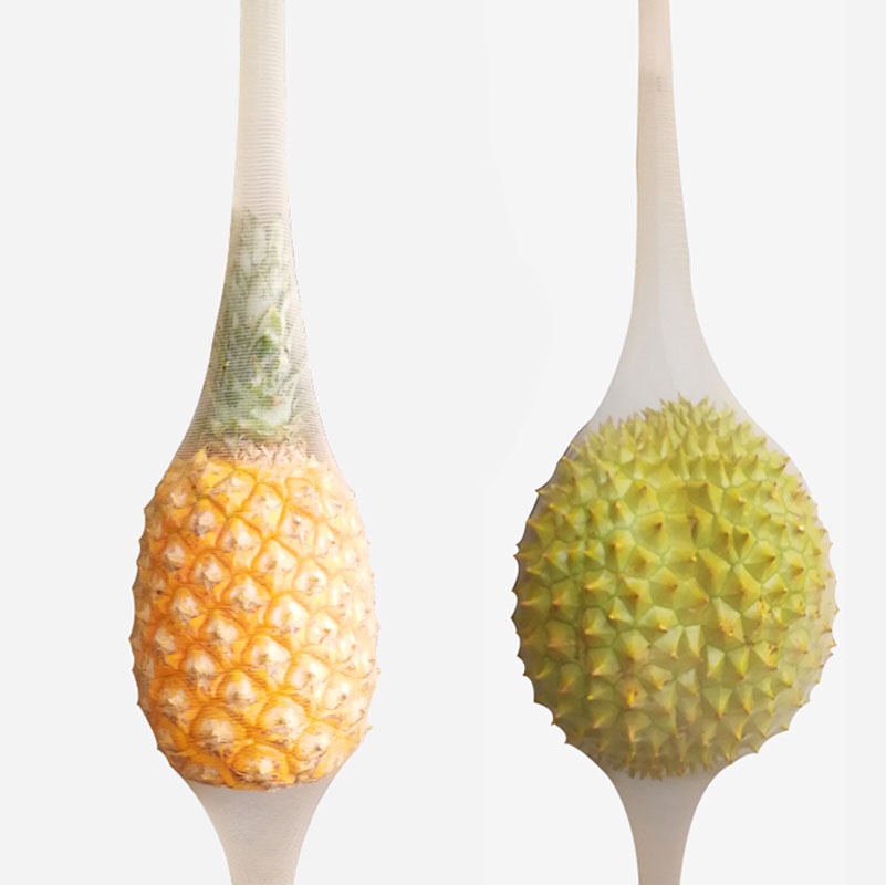 Quần Tất Lưới Mỏng Thoáng Khí Chống Rách Mẫu Mới Quyến Rũ Thời Trang Xuân Hè Cho Nữ