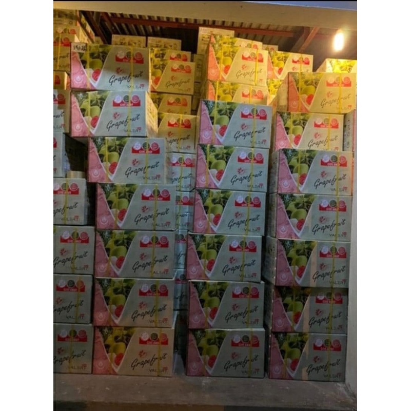 Dầu Gội Xả Bưởi Grapefruit Valert 750ml Chống Rụng Tóc.Phục Hồi Hư Tổn, Kích Thích Mọc Tóc.Hàng Chính Hãng NAMI