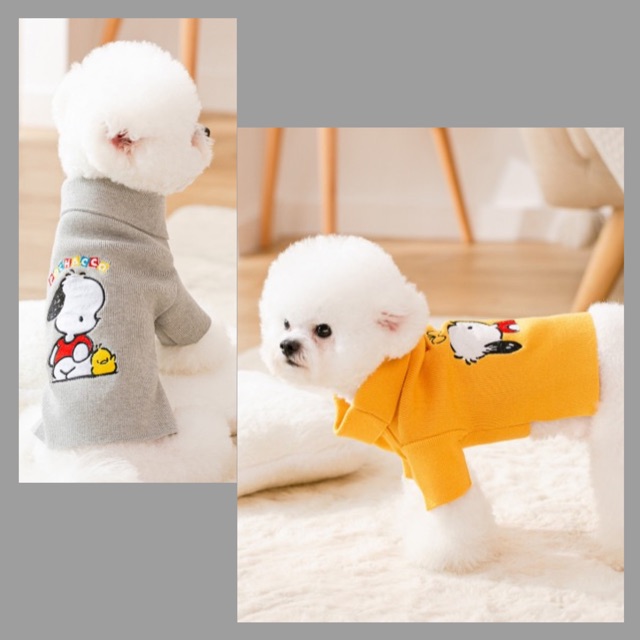 CHOU CHOU PET