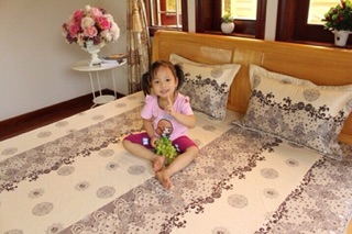 Bộ ga và vỏ gối cotton lụa hàn alnena