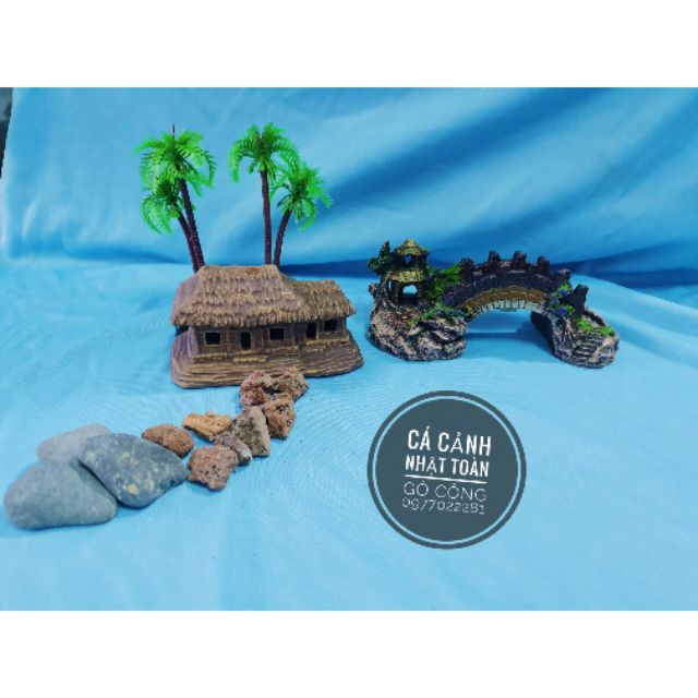 COMBO TRANG TRÍ HỒ CÁ NON BỘ 160K