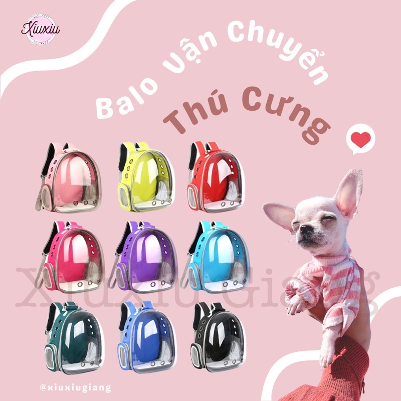 Balo Vận Chuyển Thú Cưng - Xiuxiu Giang
