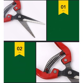 Kéo cắt tỉa cành hoa lá 18,5cm - DEVELOPE 899
