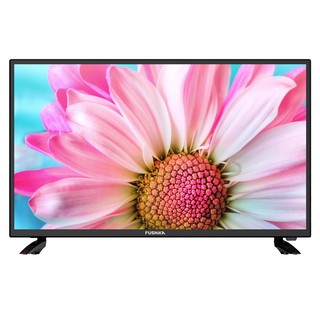 Tivi Led PUSHIKA TV 32” HD - 32PT50