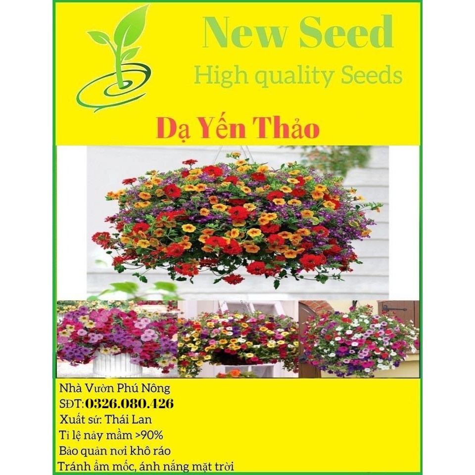 Hạt giống hoa dạ yến thảo rủ petunia mix nhiều màu sắc ( gói 50gram , 200gram ,200gram)