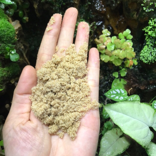 Cát vàng mịn trải nền bịch 1 kí