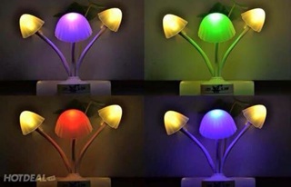 Đèn ngủ cây nấm đổi màu