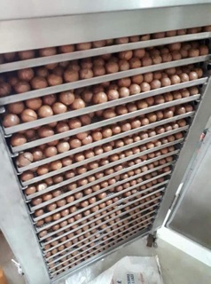 Macca Daklac- Hạt Điều- Cacao