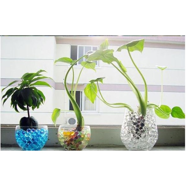 Gói 1000 hạt tinh thể trồng cây không cần đất - chọn theo màu - HV Store 240