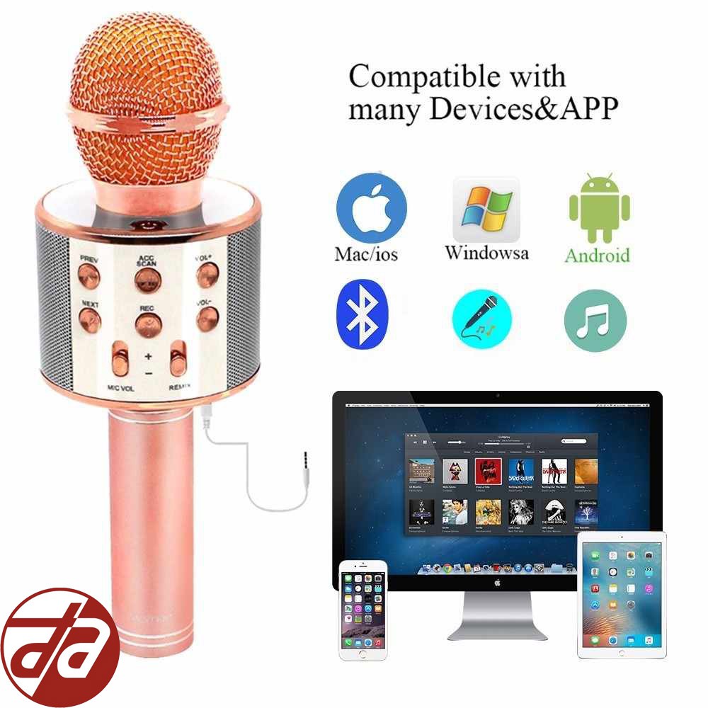 Micro Karaoke Kiêm Loa BLUETOOTH WS858