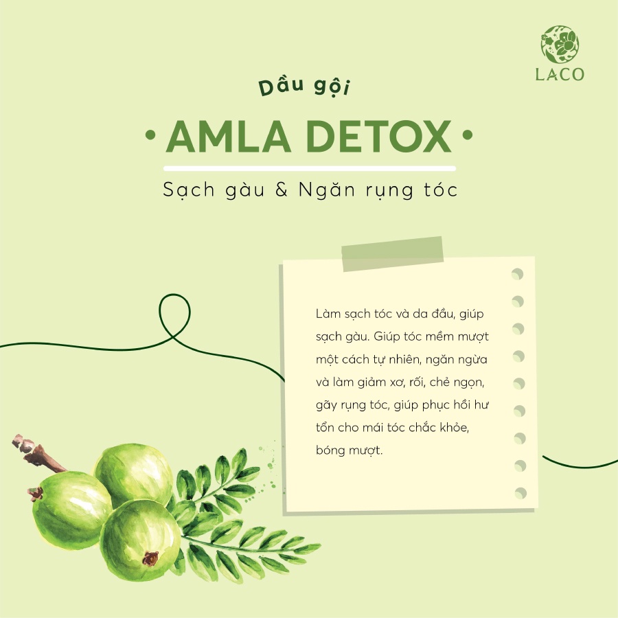 Dầu Gội - Amla Detox Dạng Túi