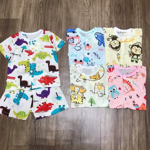 50 bộ cotton tre