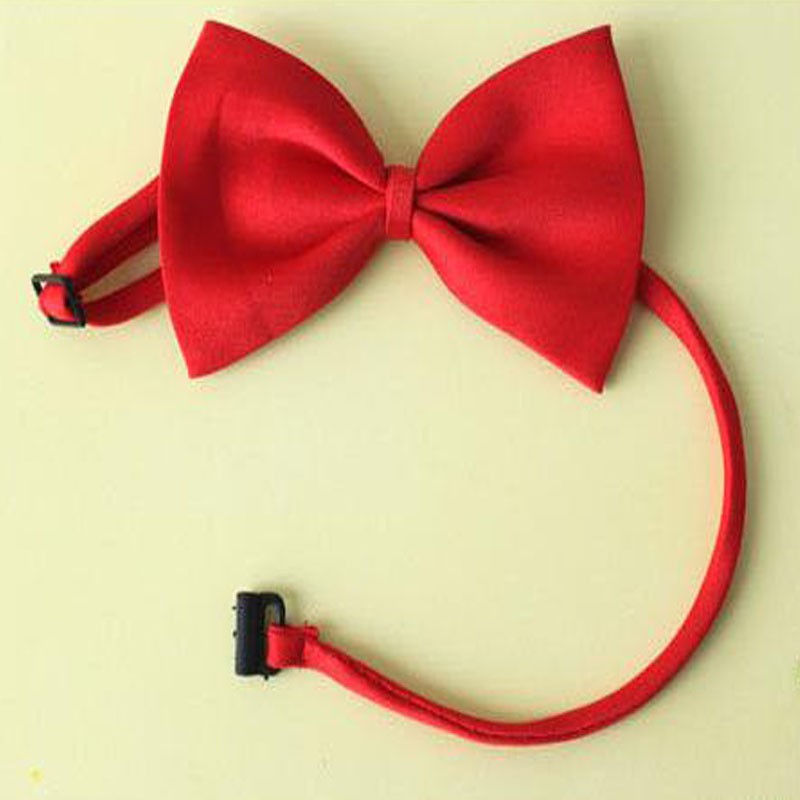 Trẻ Em Trẻ Em Nơ Rắn