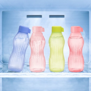 Bình nước Eco Bottle Freezerable 880ml