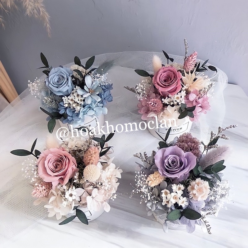 Chậu hoa hồng bất tử nhiều tông màu decor, hoa khô vĩnh cửu