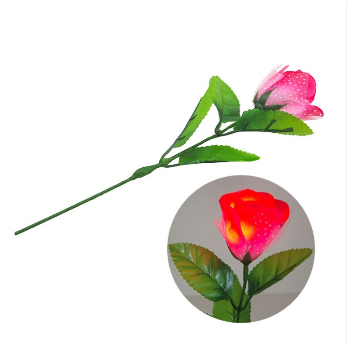 [FREE SHIP] Ảo thuật hoa hồng đèn dlite (Nam châm) - dlite Rose