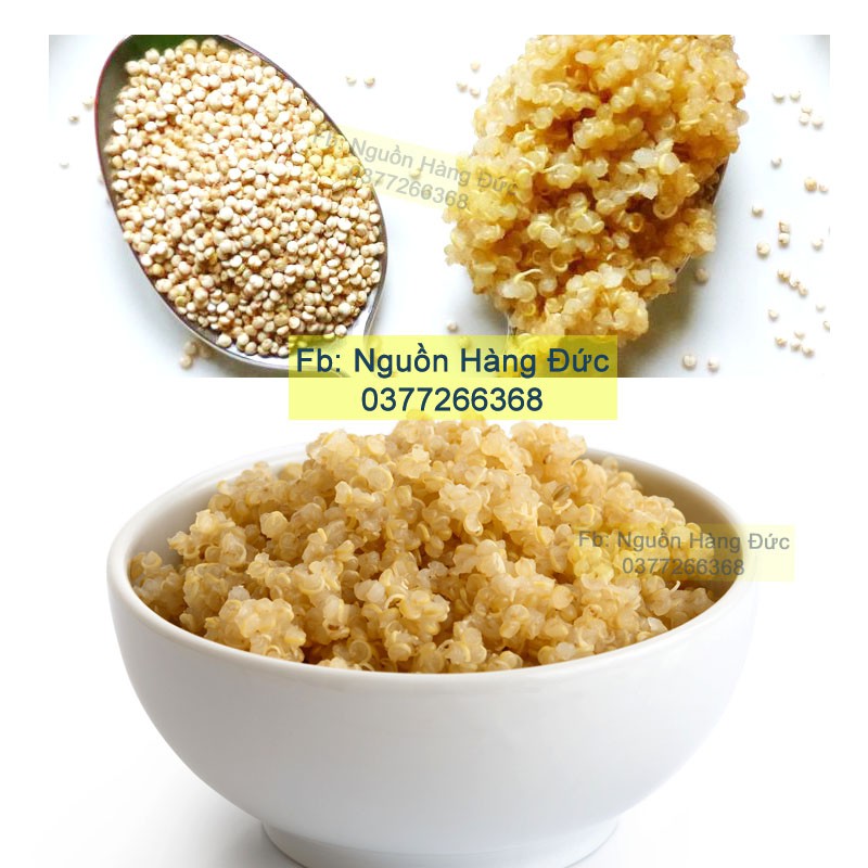 Hạt Quinoa BIO hữu cơ Nội địa Đức - Nguồn hàng Đức