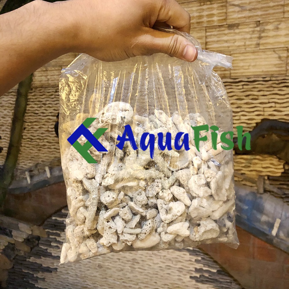 San Hô Vụn 1kg Dùng Cho Lọc Nước Bể Cá, Hồ Cá Koi