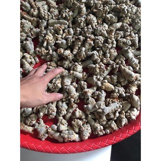 Củ Tam Thất Khô - Tam Thất Bắc Hà Giang