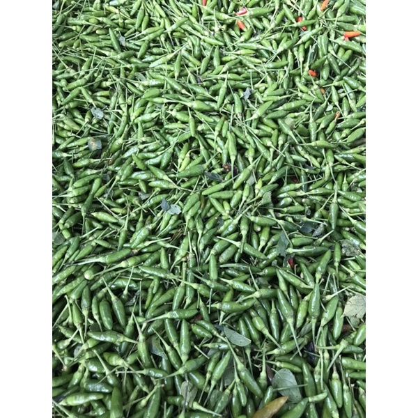 Ớt thóc xanh rừng muối - đặc sản Lai Châu