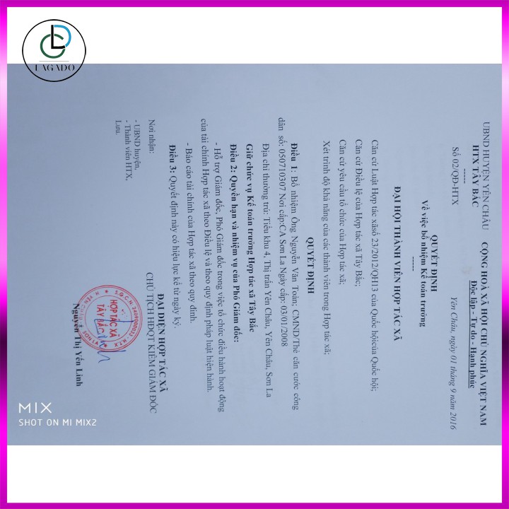 [Mã 267FMCGSALE giảm 8% đơn 500K] [ CHUYÊN SỈ ] 500G TỎI ĐEN LÊN MEN TỰ NHIÊN, TỎI ĐEN CÔ ĐƠN - TÚI 500 GAM | BigBuy360 - bigbuy360.vn