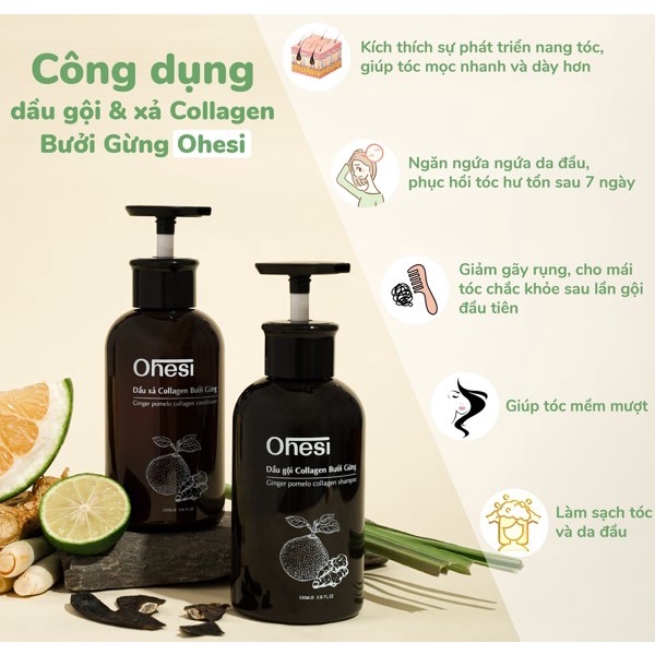 Dầu gội và xả Collagen Bưởi Gừng Ohesi giảm rụng tóc 330ml/chai