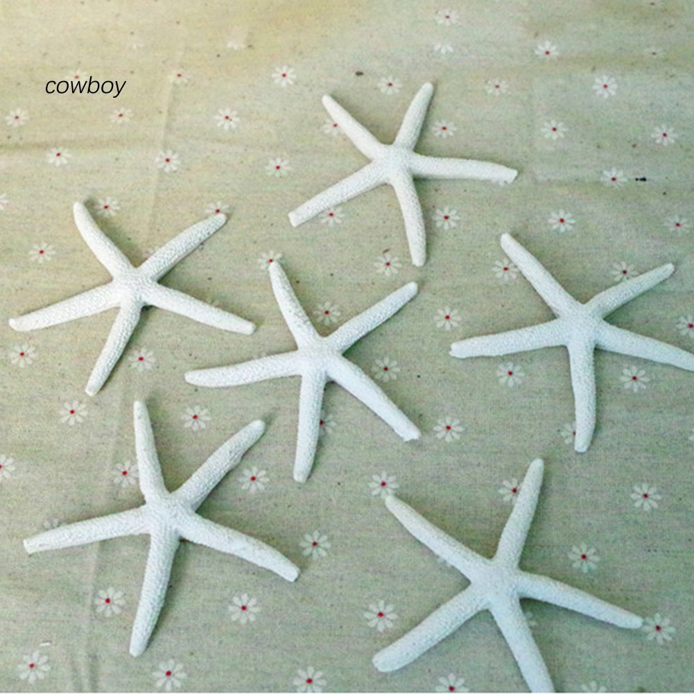 Sao Biển Nhân Tạo Bằng Nhựa Thân Thiện Với Môi Trường Dùng Trang Trí DIY